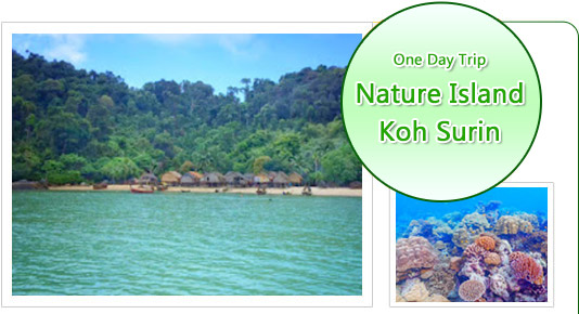 Nature Island - Koh Surin Day Nature Island - Koh Surin Day