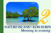 Nature Island - Koh Surin
