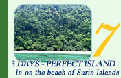 3 Days - Perfect Island