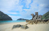 Overnight Nature Island