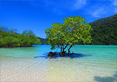 Islands and Lake 3 Days 2 Nights